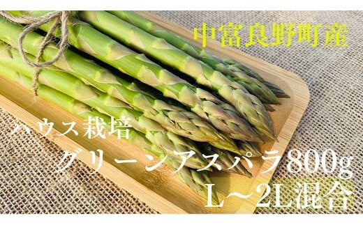 y2026NzΉ_̃O[AXpinEX͔|jL`2L@800gkCxǖ쒬12000؁Ê̑ 