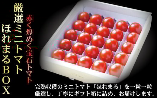 y2026Nzyxǖ쒬zI~jg}gق܂BOXkCxǖ쒬22000؁Êg}g