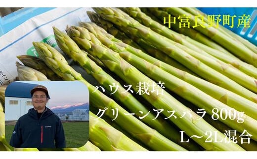 【2026年発送】中富良野町産グリーンアスパラ800g (L〜2Lサイズ混合)北海道中富良野町12000野菜・きのこその他 野菜