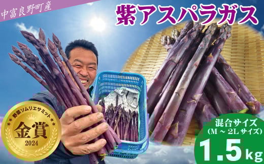 【2026年発送】【中富良野町寺坂農園】紫アスパラガス(1.5kg)北海道中富良野町33000野菜・きのこその他 野菜