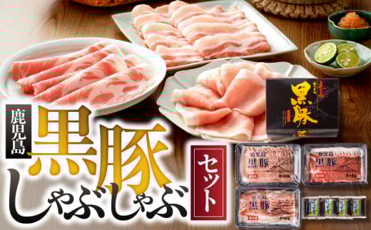 581-1 B_ ؂ԂԃZbgiNNF-3226j@KN005-009s17000ؓ