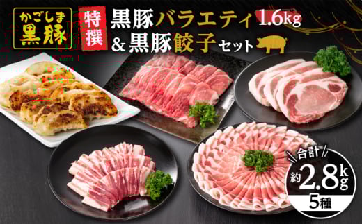 491-1 ؃oGeBZbg1.6kgi[XEoEEƂ񂩂pj{Lq@KN038-005s31000ؓ