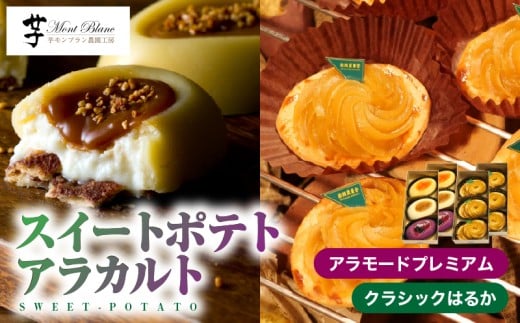 989-1 XC[g|egEAJg@KN035-007s19000َqEXC[c̑ mَq