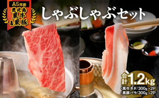 746-2 iA-2101jy5zE؂ԂԃZbg@KN009-002s28000