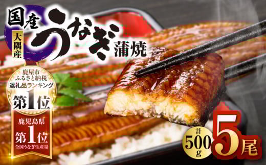4001 鹿児島県大隅産うなぎ蒲焼5尾(500g) KN007-005-03鹿児島県鹿屋市20000魚介・海産物うなぎ