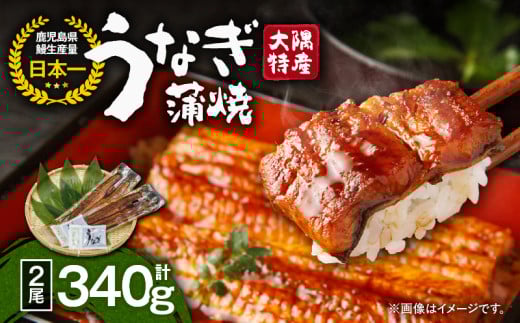 1386 大隅特産うなぎ蒲焼2尾(340g) KN060-001-01鹿児島県鹿屋市17000魚介・海産物うなぎ