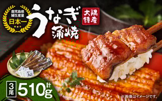 1387 大隅特産うなぎ蒲焼3尾(510g) KN060-001-03鹿児島県鹿屋市23000魚介・海産物うなぎ