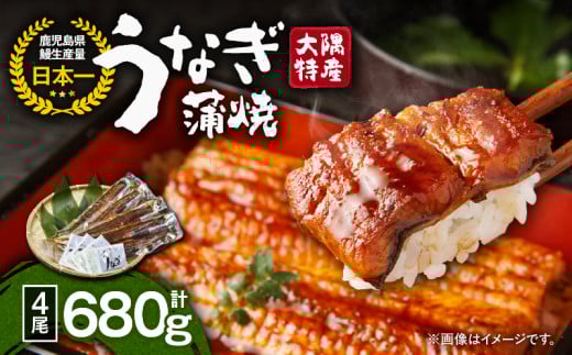 1388 大隅特産うなぎ蒲焼4尾(680g) KN060-001-02鹿児島県鹿屋市29000魚介・海産物うなぎ
