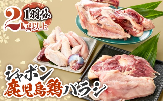 1576 B̍Y ̌{ V|{oV 2kgȏ@KN048-003s38000{