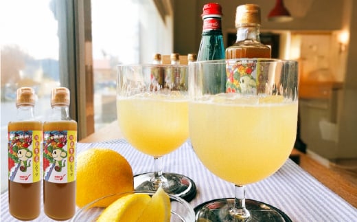 1622 【鹿屋産有機生姜使用】万能生姜シロップ2本 KN046-001-01鹿児島県鹿屋市13000鍋セット・総菜・加工食品その他 鍋セット・総菜・加工食品