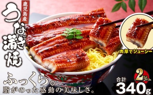 1121-4 鹿児島産うなぎ 170g×2尾 清らかな地下水育ち! 国産 本格 うなぎ 鰻 蒲焼(鹿児島) KN021-014-02鹿児島県鹿屋市13000魚介・海産物うなぎ