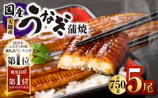 1633 YȂ5i750gj@KN007-005-01s27000ECYȂ