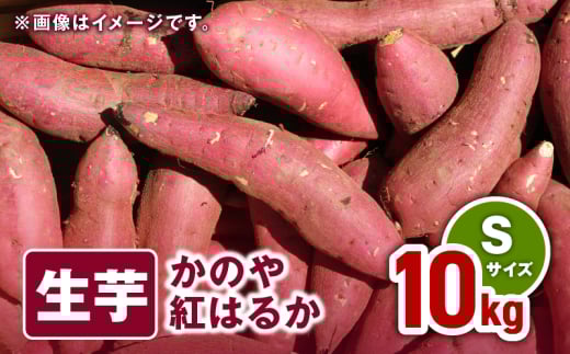 1672 かのや紅はるか 生芋Sサイズ 10kg KN011-001鹿児島県鹿屋市16000野菜・きのこじゃがいも・イモ類
