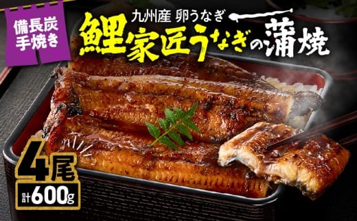 1644 BY Ȃ YāwƏȂx̊4Zbg v600g@KN029-005-03s25000ECYȂ