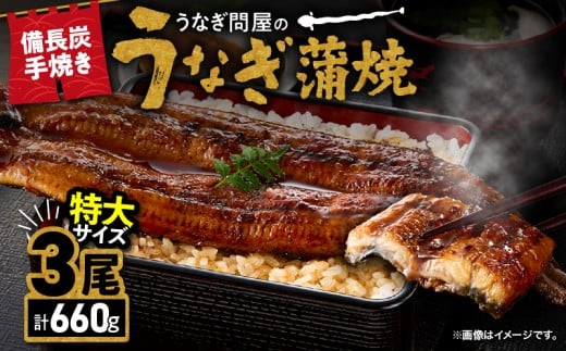 1745-1 うなぎ問屋の 備長炭手焼 うなぎ蒲焼 特大3尾 660g KN029-001-08鹿児島県鹿屋市23000魚介・海産物うなぎ