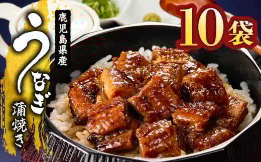 1655-1 Y ݂ȂĂ10Zbg@KN058-001-02s36000ECYȂ