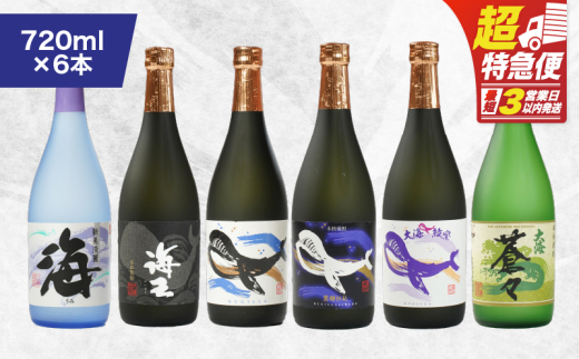 【超特急便】1794 海の蔵「大海酒造」の飲み比べセット!A-1(合計6本) KN043-002-01鹿児島県鹿屋市31000酒・アルコール焼酎