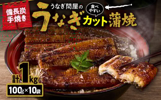 1176-4 Ȃ≮ Y Jbg v1kg@KN029-003-02s27000ECYȂ