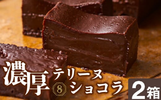 2027 オクタス テリーヌショコラ 2箱(280g×2本) KN021-026-02鹿児島県鹿屋市13000菓子・スイーツケーキ・カステラ