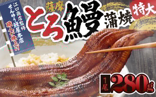 2053-1 薩摩とろ鰻蒲焼特大一尾280g【江口商店監修】 KN084-003鹿児島県鹿屋市17000魚介・海産物うなぎ