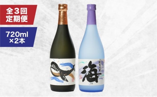 2157 【定期3回】人気焼酎!海&くじらのボトル720mlセット(計6本) KN043-T01鹿児島県鹿屋市37000酒・アルコール焼酎