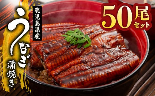 2120 鹿児島県産 うなぎ蒲焼 50尾 KN058-002-50鹿児島県鹿屋市370000魚介・海産物うなぎ