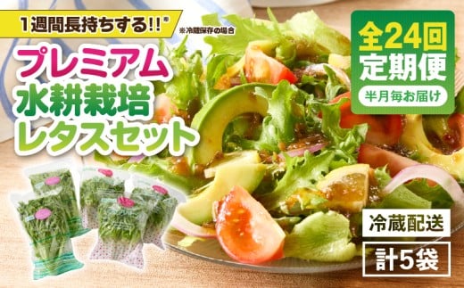 1629-2 【全24回定期便】洗わずに食べられる プレミアム水耕栽培レタスセット(計5袋) KN064-T04鹿児島県鹿屋市200000野菜・きのこその他 野菜