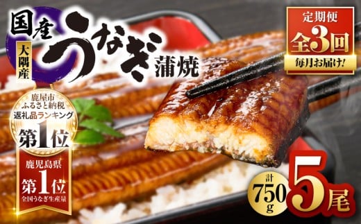 2082-1 鹿児島県大隅産うなぎ蒲焼5尾(750g) 【3ヶ月定期】 KN007-T04鹿児島県鹿屋市81000魚介・海産物うなぎ