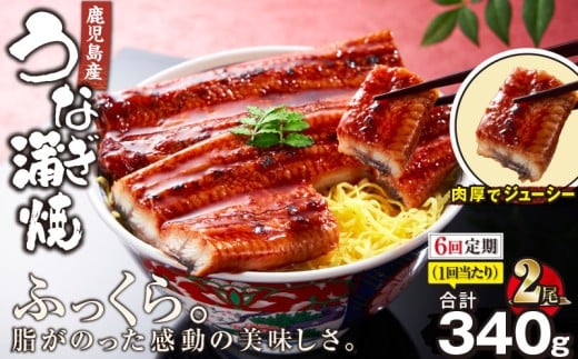 2323-1 【全6回定期便】鹿児島産うなぎ 合計340g(170g×2尾) KN021-T19鹿児島県鹿屋市89000魚介・海産物うなぎ