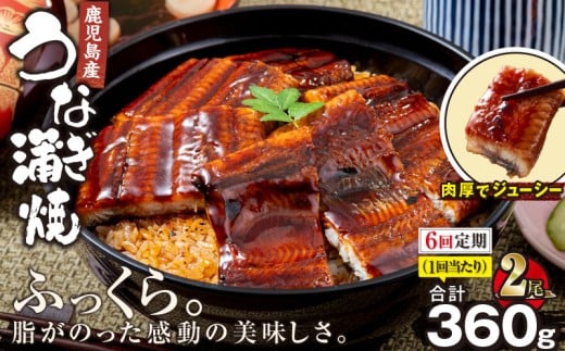 2324-1 【全6回定期便】鹿児島産うなぎ 合計360g(180g×2尾) KN021-T20鹿児島県鹿屋市96000魚介・海産物うなぎ