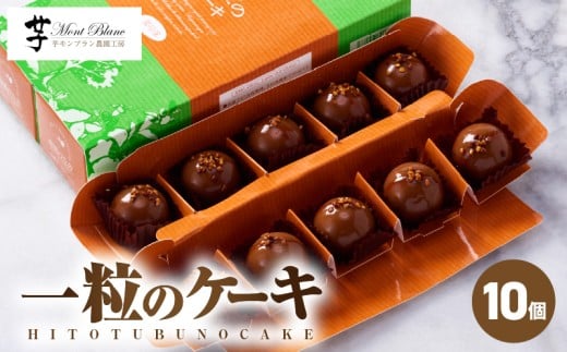 2335 一粒のケーキ 10個入 KN035-004-01鹿児島県鹿屋市9000菓子・スイーツケーキ・カステラ