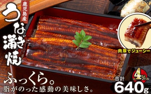 2441 鹿児島産うなぎ 合計640g(160g×4尾) KN021-013-04鹿児島県鹿屋市25000魚介・海産物うなぎ