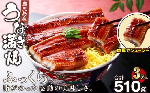 2443 YȂ v510gi170g×3j@KN021-014-03s21000ECYȂ