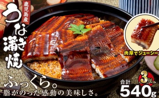 2446 YȂ v540gi180g×3j@KN021-015-03s22000ECYȂ