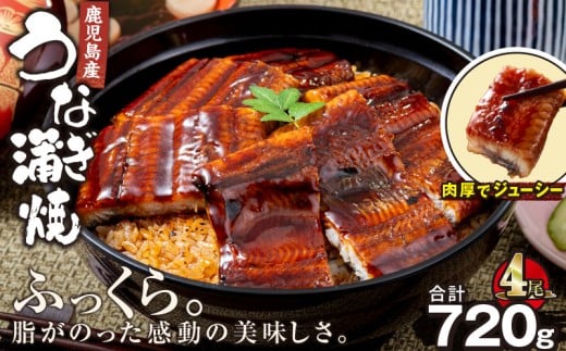 2447 YȂ v720gi180g×4j@KN021-015-04s29000ECYȂ