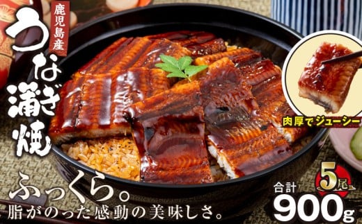 2448 鹿児島産うなぎ 合計900g(180g×5尾) KN021-015-05鹿児島県鹿屋市36000魚介・海産物うなぎ
