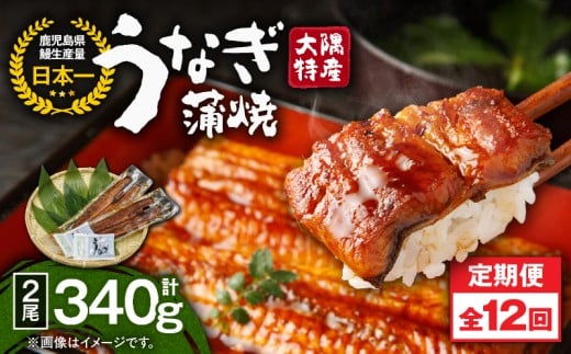 2481 【定期12回】大隅特産うなぎ蒲焼2尾(340g)【国産】 KN060-T05鹿児島県鹿屋市195000魚介・海産物うなぎ