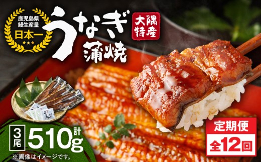 2484 【定期12回】大隅特産うなぎ蒲焼3尾(510g)【国産】 KN060-T08鹿児島県鹿屋市268000魚介・海産物うなぎ