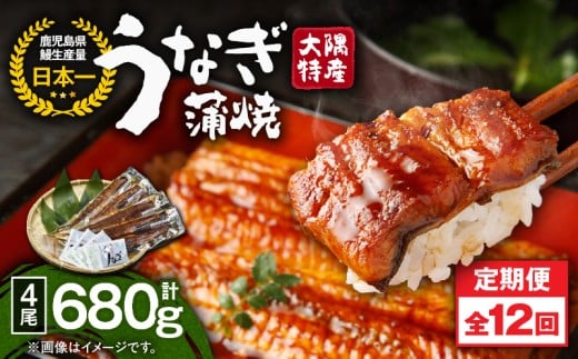 2487 【定期12回】大隅特産うなぎ蒲焼4尾(680g)【国産】 KN060-T11鹿児島県鹿屋市348000魚介・海産物うなぎ