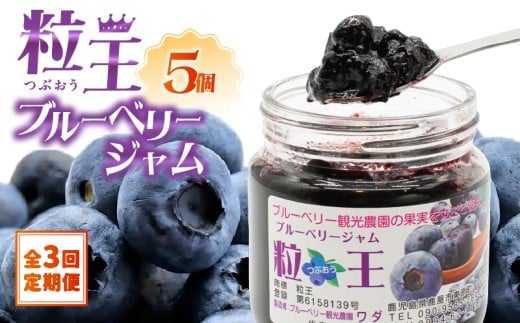 2468-1  【全3回定期便】(2ヶ月に1回お届け)粒王 ブルーベリージャム 200g×5個 KN030-T02鹿児島県鹿屋市41000鍋セット・総菜・加工食品ジャム・はちみつ