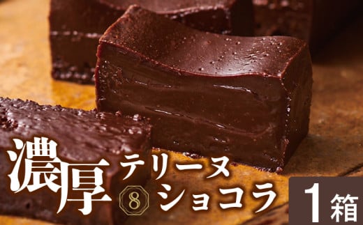 2522 オクタス テリーヌショコラ 1箱(280g×1本) KN021-026-01鹿児島県鹿屋市8000菓子・スイーツケーキ・カステラ