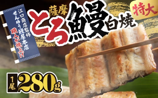 2519 【江口商店監修】薩摩トロ鰻白焼特大サイズ一尾 280g KN084-004鹿児島県鹿屋市17000魚介・海産物うなぎ
