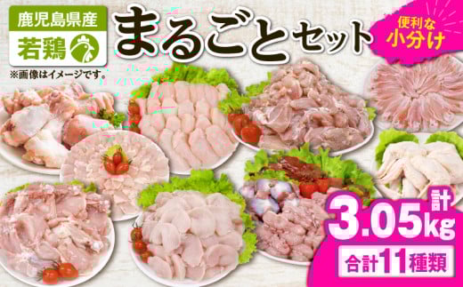 2649 若鶏まるごと3.05kgセット KN105-006鹿児島県鹿屋市16000肉鶏肉