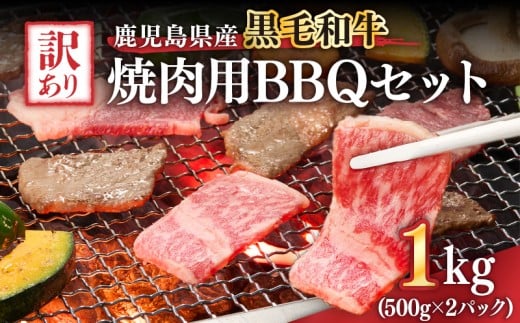 2617 訳あり黒毛和牛 鹿児島県産焼肉用BBQセット 計1,000g(500g×2パック) KN041-003-01鹿児島県鹿屋市20000肉牛肉