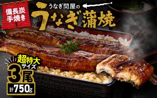 2740 うなぎ問屋の備長炭手焼 うなぎ蒲焼 超特大3尾(750g) KN029-001-06鹿児島県鹿屋市25000魚介・海産物うなぎ