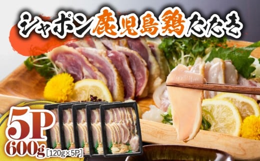 2904 B̍Y ̌{ V|{ 600gi120g×5pbNj@KN048-001-05s21000{