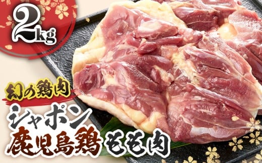 2920 B̍Y ̌{ V|{ 2kg@KN048-004s62000{