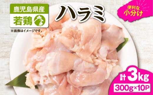 鹿児島県産若鶏ハラミ 3kgセット KN105-017鹿児島県鹿屋市18000肉鶏肉
