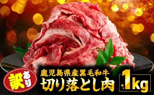 【訳あり】鹿児島県産 黒毛和牛 切り落とし肉 1kg(500g×2P) KN050-042鹿児島県鹿屋市12000肉牛肉