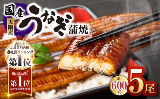 鹿児島県大隅産うなぎ蒲焼5尾セット(計600g) KN007-022鹿児島県鹿屋市20000魚介・海産物うなぎ